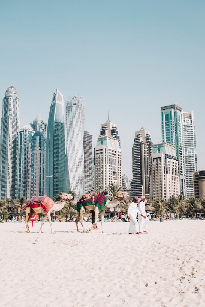 How to Automate Real Estate Workflows Using AI in Dubai