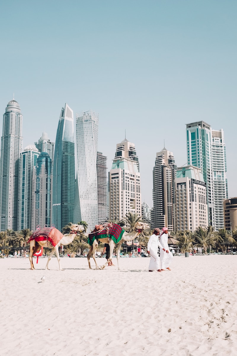 How to Automate Real Estate Workflows Using AI in Dubai
